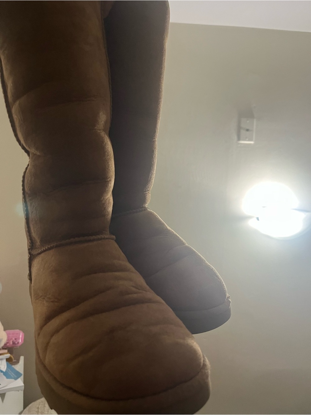 UGG Chestnut Suede Winter Boots